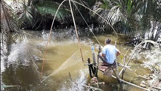 Sebentar Sudah Panen Nila Disini || Hancau Ikan || Branjang Ikan