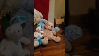 Just a normal video about stuffed animals... Or is it?