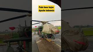 apache indonesia#short#