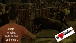 Hasta el rabo todo es toro, Cogida en La Flecha 2016