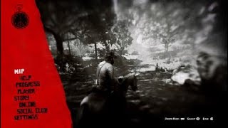 Red Dead Redemption 2_20210622055034