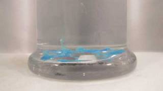 Growing Coppersulfate Crystals