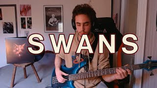 Swans - A Piece of the Sky (Bass Cover)