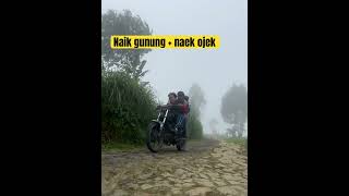 Ojek ekstrim gunung sumbing #shorts #extreme #gunung