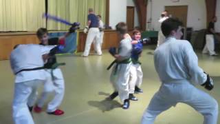 Satori Sparring