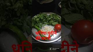 chatpati dhaniya pudina ki chutney//dhaniya pudina recipe#shorts#youtubeshorts #short