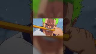 One Piece Zoro vs Killer