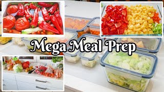 Mega Meal Prep