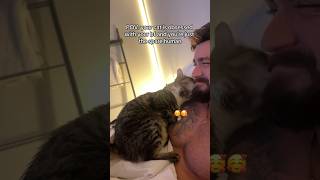 Her cat likes her boyfriend 😳🐱🐶road to 100k SUBSCRIBE‼️*repost*🐕