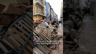 Ayuda para limpiar las calles Dana Algemesí (Valencia)