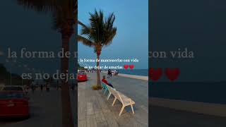 LA MEJOR FRASE DEL DIA ❤2 AMA A TUS SERES QUERIDOS #motivacional#bocadelrio #playa#veracruz#mexico