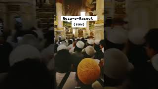 roza-e-rasool(saw) subscribe @mrabidofficial