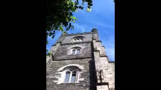 Ringing at Fowey