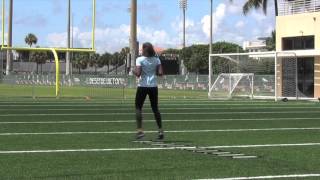 Agility Ladder Hop Scotch Drill