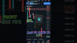 Blue Pip Gainner EA MT4 FREE DOWNLOAD 💥🚀🏆