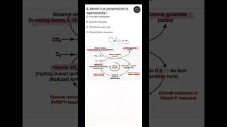 NEET PG #biochemistry MCQ || Vitamin K || Clotting activation