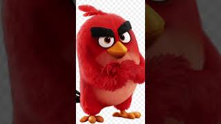 IM DA BIGGEST BIRD! #funny #shorts #angrybirds #memes #