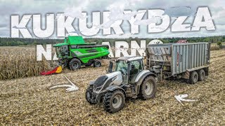 🇵🇱KUKURYDZA NA ZIARNO 2O24! @czystepole ☆ NOWY DEUTZ-FAHR C9306 TS & VALTRA T174 & FLIEGL ☆ AW ™