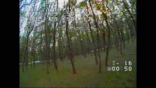 FPV Racing in wood freestyle drone 2.5"