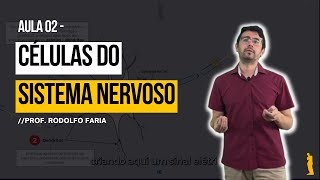 Sistema Nervoso - Aula 02 - Tipos Celulares