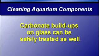 Aquarium Set-Up Tip - 9 - Cleaning Aquarium Components