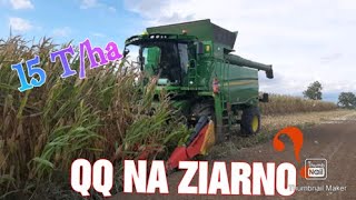 💥Pierwsze koszenie QQ na ziarno w Opolskim💥| JOHN DEERE T 660