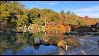 Temples of Kyoto in Autumn, November, 2021 PART 3