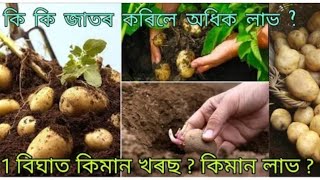 আলু-তিয়হ খেতিত লাভ কিমান-150 পেকেট  সচাঁই নে!!10হাজাৰ পুৰস্কাৰ পাৱ পাৰে আপুনিও... 😳😳😱