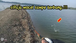 Disambar di Pinggir Sampe Terbang||Mancing Casting Hama Tambak Sumur