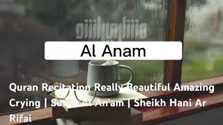 Quran Tilawat Really Beautiful Amazing Crying | Surah Al An'am | Sheikh Hani Ar Rifai