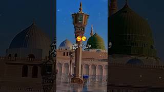 قبر کا خوف نہ رکھنا اے دل 🥰😊❤️||#shortsfeed #shorts #shortsviral #fyp #like #subscribers #share