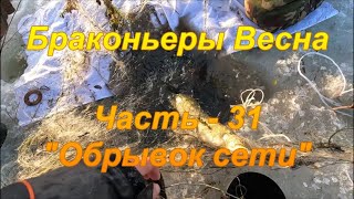 Браконьеры. Весна. Часть - 31 "Обрывок сети".