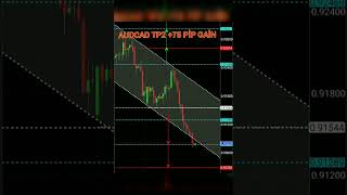 09 01 2022 AUDCAD TP2 +75 PİP GAİN