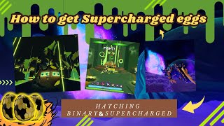 How to get SUPERCHARGED Egg // Hatching 80 Binary & Supercharged eggs {Dragon Adventures- ROBLOX}