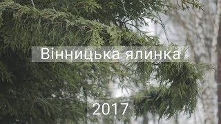 Вінницька ялинка 2017