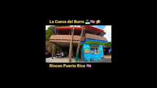 La Cueva del Burro en Rincon Puerto Rico 🇵🇷 #shorts #puertorico #rinconpuertorico