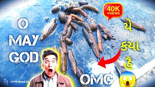 OMG 😱 || O may god || યે ક્યા હૈ 🤨|| ઈસે કયા કહતે હૈં 🐛 || @Shivofficial872 #youtubevideo