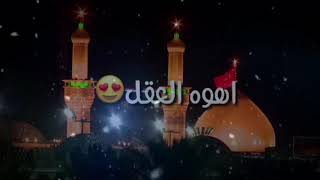 الحسين جنوني 😍 💕 / ملا حسين فيصل 🌟⭐