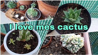 Je vous présente mes cactus 🌵 ❤