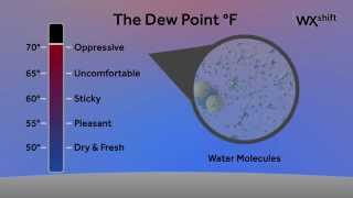 Ask A Met: Dew Point