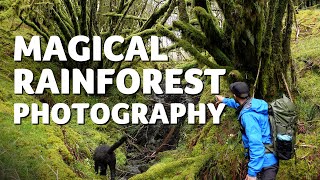 Photographing a Magical Rainforest in Scotland