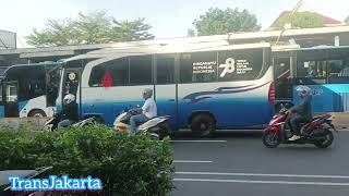 TransJakarta Halte Pal Putih || #tj #transjakarta  #haltepalputih