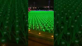 Amazing Tokyo Illumination lights