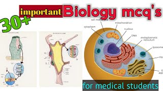 biology mcq's |most important biology mcq'for kmu cat test,mbbs,bsn,mdcat students|mkpk