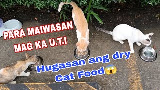 GANITO ANG TECHNIQUE KO SA DRY CAT FOOD PARA GANADO SILA KUMAEN😻