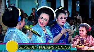 SEPULUH - PODANG KUNING || WANTIKA CS KARTIKO BUDOYO - TAYUB TUBAN