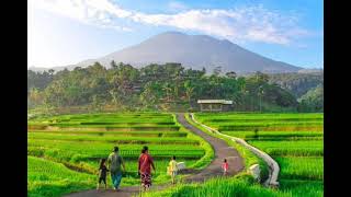 LAGU JOGET MINANG BURUNG MALAM