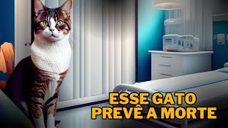 Você Conhece a História do Gato Que Adivinha a Morte Das Pessoas