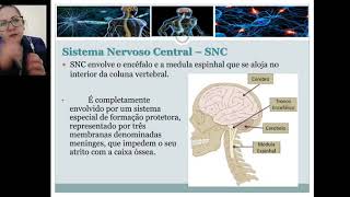 Sistema Nervoso Central