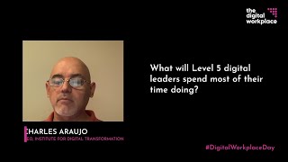 What will Level 5 digital leaders spend most of their time doing?